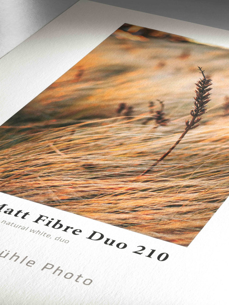 HAHNEMÜHLE Photo Matt Fibre Duo 210 | A2 25 Blatt