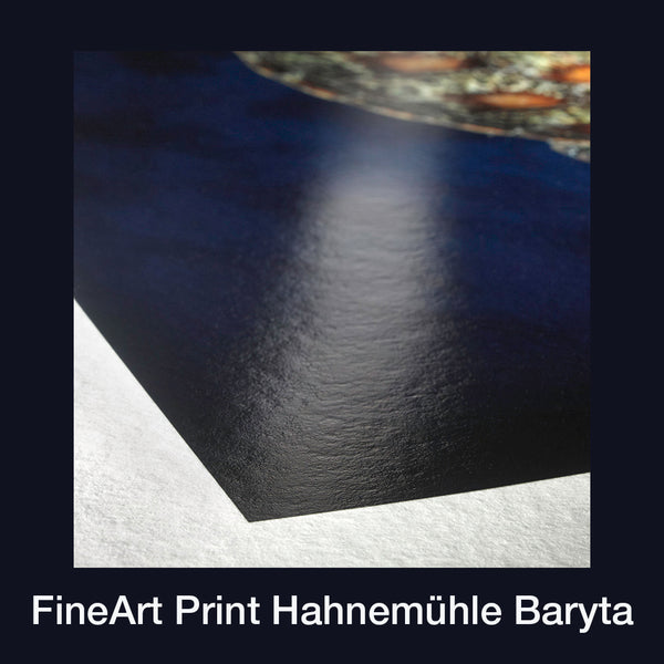 FineArt-Partner FineArt-Print (Baryt / Rag)