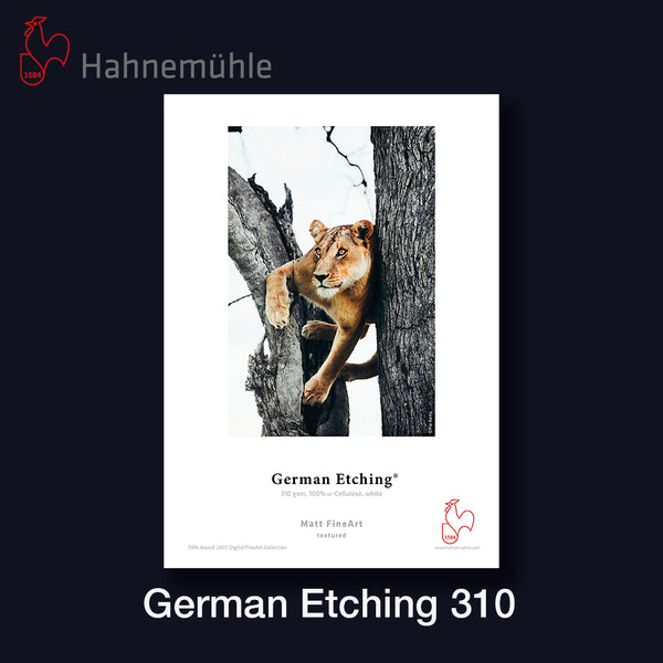 HAHNEMÜHLE German Etching 310 | A3 25 Blatt