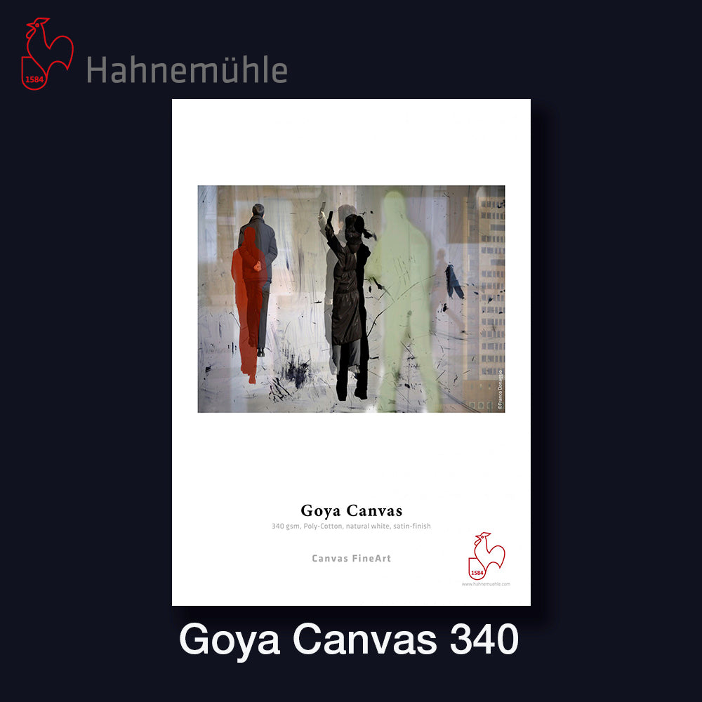 HAHNEMÜHLE Goya Canvas 340 | 44" - 111,8cm x 12 m Rolle