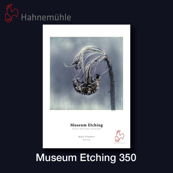 HAHNEMÜHLE Museum Etching 350 | A3+ 25 Blatt