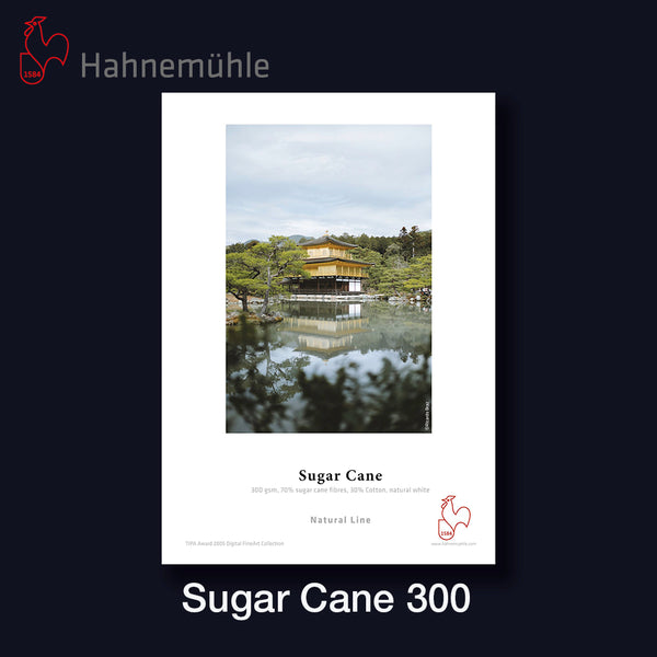 HAHNEMÜHLE Sugar Cane 300 | A3 25 Blatt