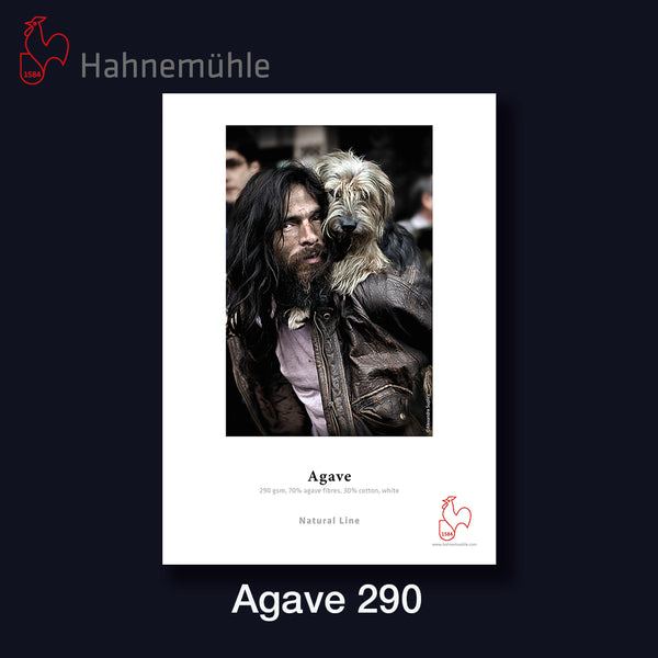 HAHNEMÜHLE Agave 290 | A3+ 25 Blatt