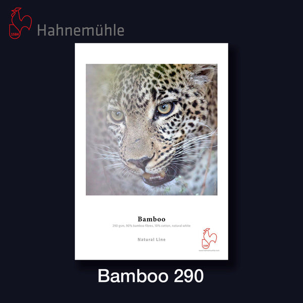 HAHNEMÜHLE Bamboo 290 | 36" - 91,4cm x 12 m Rolle