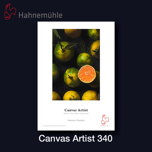 HAHNEMÜHLE Canvas Artist 340 | 24" - 61,0cm x 12 m Rolle