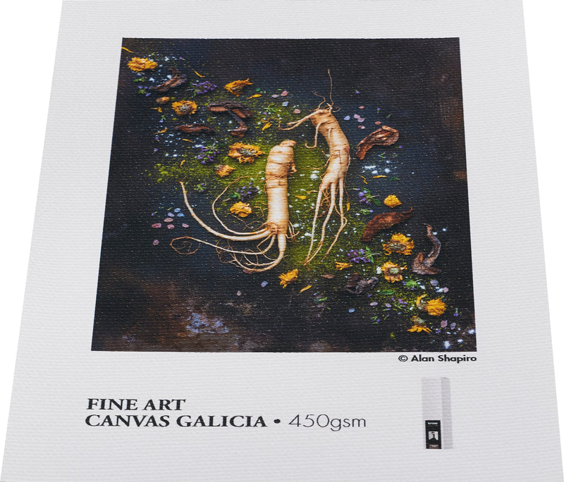 ILFORD GALERIE FineArt Canvas Galicia 450gsm | 17" - 43,2cm x 15m